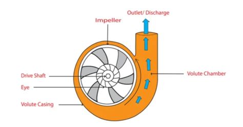 direction of flow in centrifugal pump|centrifugal pump pressure diagram.